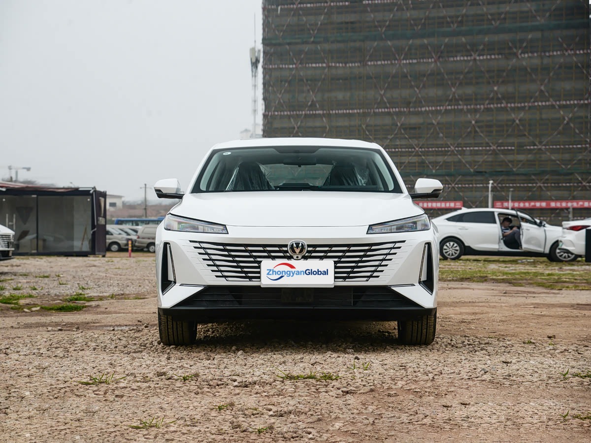 逸动PHEV 11
